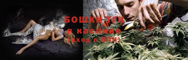 прущая мука Арсеньев